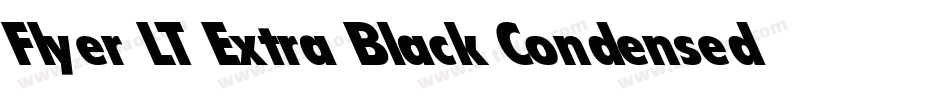 Flyer LT Extra Black Condensed字体转换